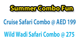 Summer combo Fun