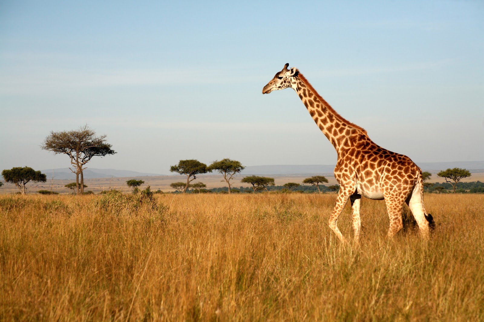 Kenya - Breaktime Book Holiday Package
