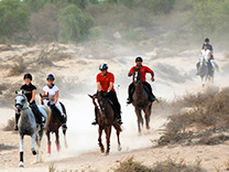 Horse Desert Park Ride