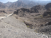 Full Day Hatta Safari