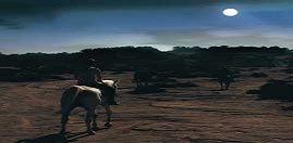 Hourse Horse Riding Tours in Dubai Book Tour & Get Discount