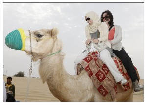 Camel Safari 