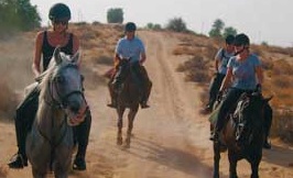 Horse Riding in the Desert 