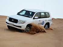 Evening Desert Safari Dubai