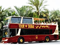 Big Bus Tour