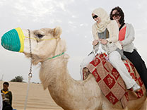 Camel Safari