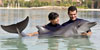Swim with the Dolphins in Atlantis