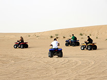 Quad Bike Safari - Evening