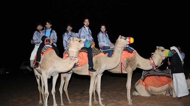 Camel Safari