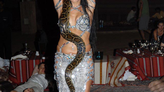 Snake Dancer 
