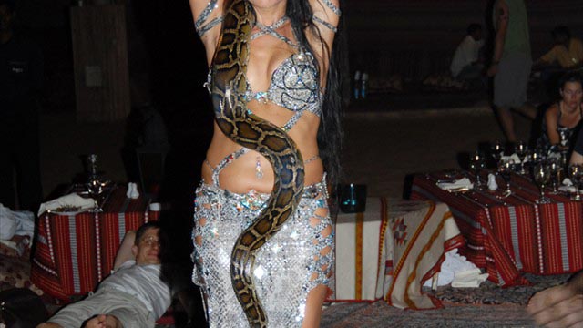 Snake Dancer 